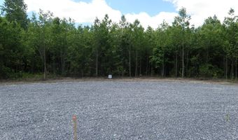 LOT D EASEMENT OFF OF SHORTLY RD, Georgetown, DE 19947