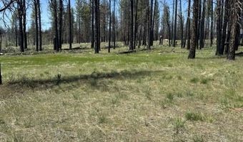 Off-Hicks Road, Bly, OR 97622