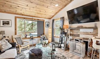 226 Hall Rd, Bailey, CO 80421