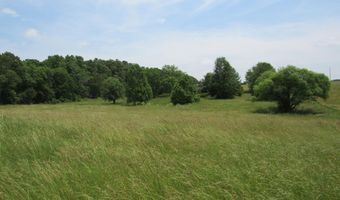 23742 Lawrence 1230, Aurora, MO 65605