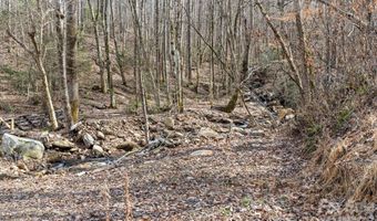 140 Wild Mountain Ln, Barnardsville, NC 28709