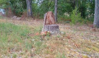 46 Private Road 160-190, Alton, MO 65606