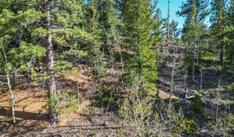 272 Wise Rd, Bailey, CO 80421