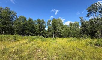 38 Monument Rd, Abbot, ME 04406