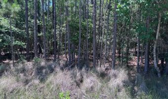 3000 Woody Bayou Dr, Bay St. Louis, MS 39520
