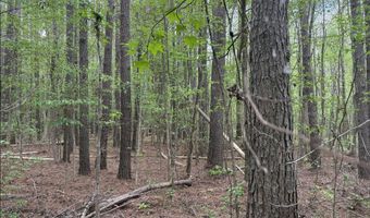 Hester Road, Ackerman, MS 39735