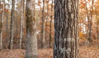 257 W Chapman Rd, Belton, SC 29627