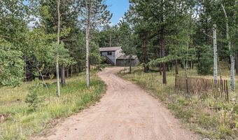 1050 Yellow Pine Dr, Bailey, CO 80421