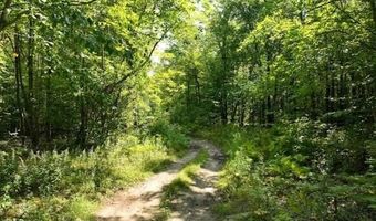 Jerusalem Road, Altona, NY 12910