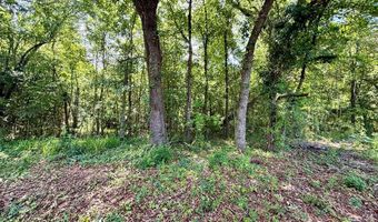 1243 Silcox Rd, Ashford, AL 36312