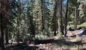 2 Blue Rock Trl, Arnold, CA 95223