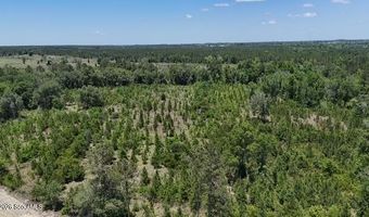 Oscar Tippins Road, Baxley, GA 31513