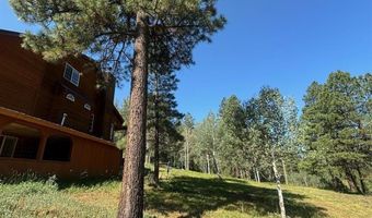 2237 Bear Creek Canyon Rd, Bayfield, CO 81122