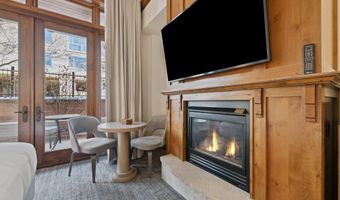 415 E Dean St Unit 3 Week 8, Aspen, CO 81611
