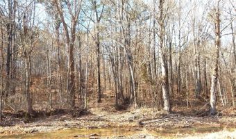 519 247 Country Rd, Bruce, MS 38915