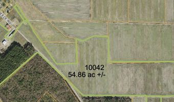 Sr 1918 Road, Aurora, NC 27806