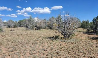 2901 N Cienega Dr A, Ash Fork, AZ 86320