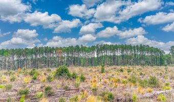 Tract # 6418 Southern Winds Lane Maddox Springs NW 97, Caryville, FL 32427
