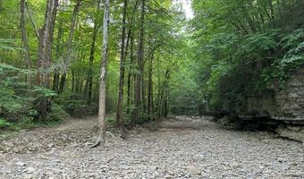 Lot 43 E Bobcat Lane, Wilder, TN 38589