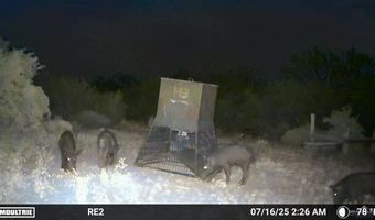 Tbd County Road 173, San Diego, TX 78332