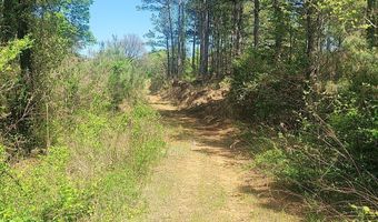 Rutherford Road, Batesville, MS 38606
