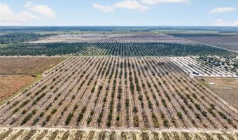 ALTURAS BABSON PARK CUTOFF, Bartow, FL 33830