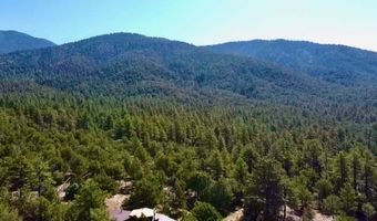 Tract B 266 Gallina Canyon Road, Valdez, NM 87580