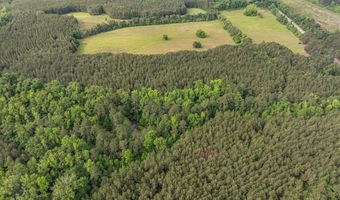 5760 Cobbham Road Lot Tract B, Appling, GA 30802