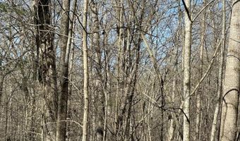 N Center Ridge Place, Baneberry, TN 37890
