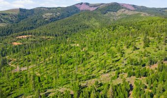 NNA Stone Rd Lot 5 20.0 Acres, Blanchard, ID 83804