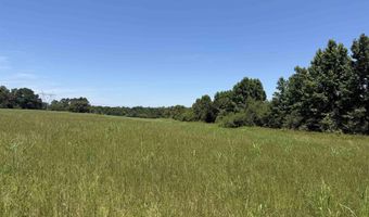 62 Jolley Ln, Albertville, AL 35950