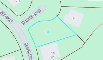 20 Barn Sour Ct, Blythewood, SC 29016