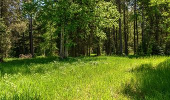 541 Alpine Dr, Bigfork, MT 59911