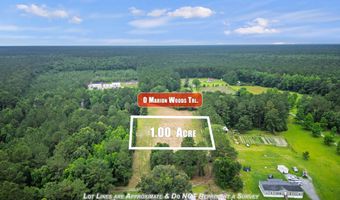 Marion Woods Trail, Bonneau, SC 29431