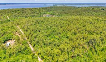 93 Acres Dell Rd, Bainbridge, GA 39819