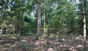 0 CR 4236, De Kalb, TX 75559