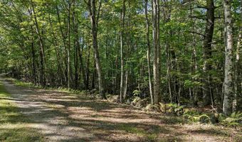 Chamberlain Road lot 11, Alton, NH 03809