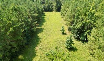 County Road 127, Banks, AL 36005