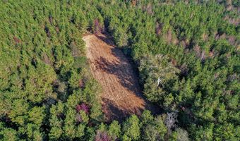 0 County Road 127, Banks, AL 36005