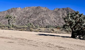 11658 Sherry Rd, Yucca, AZ 86438