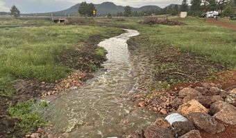 8 N COUNTY ROAD N2062 008, Alpine, AZ 85920