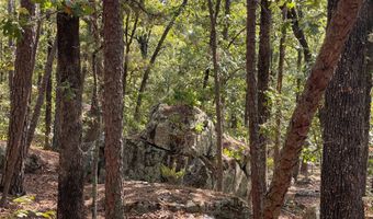 Highway 2 lot 6-9, Antlers, OK 74523