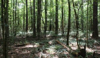 00 Pinola Braxton Rd, Braxton, MS 39044