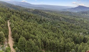 TBD Unit 3 Forest Lakes, Bayfield, CO 81122