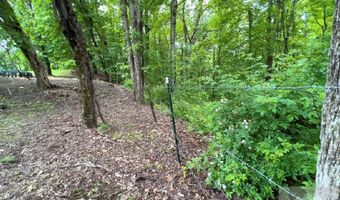 88 Angus Rd, Anawalt, WV 24808