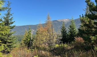 Tract 6 USFS 2294, Clark Fork, ID 83811