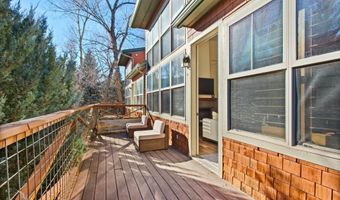 536 Evans Ct, Basalt, CO 81621