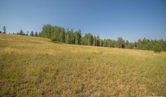 Potpourri Drive lot 11, Ashton, ID 83420