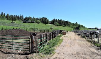 1 BUFFALO Dr, Alpine, WY 83128