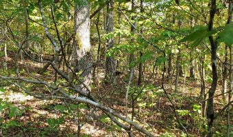 County Road 118, Annapolis, MO 63620